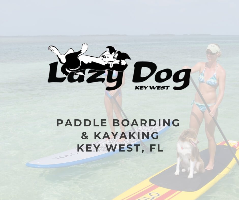 Lazy Dog Mangrove Kayak Tour in Key West