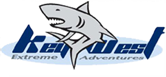 Key West Extreme Adventures Shark Tour in Key West