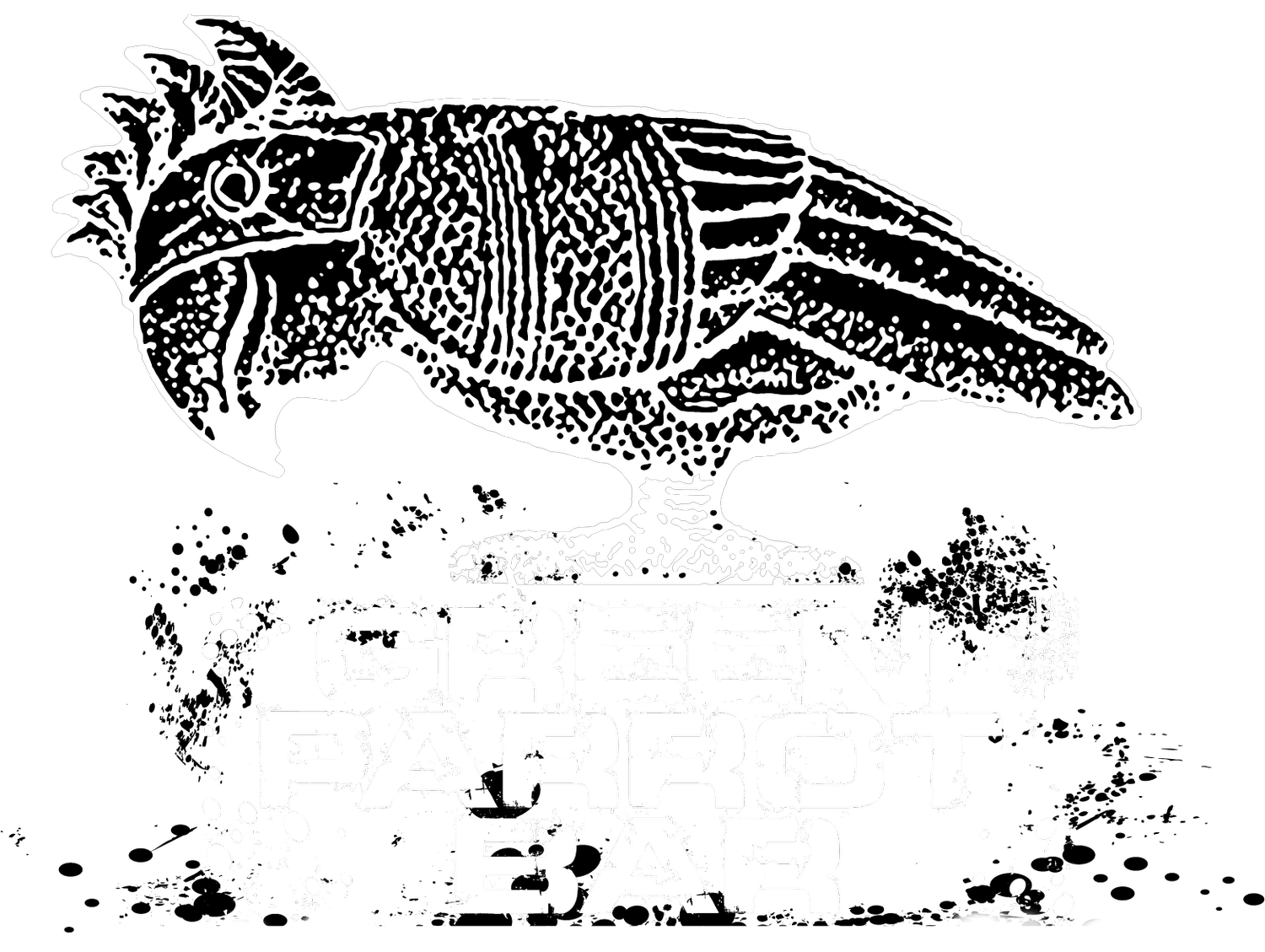Green Parrot Bar in Key West