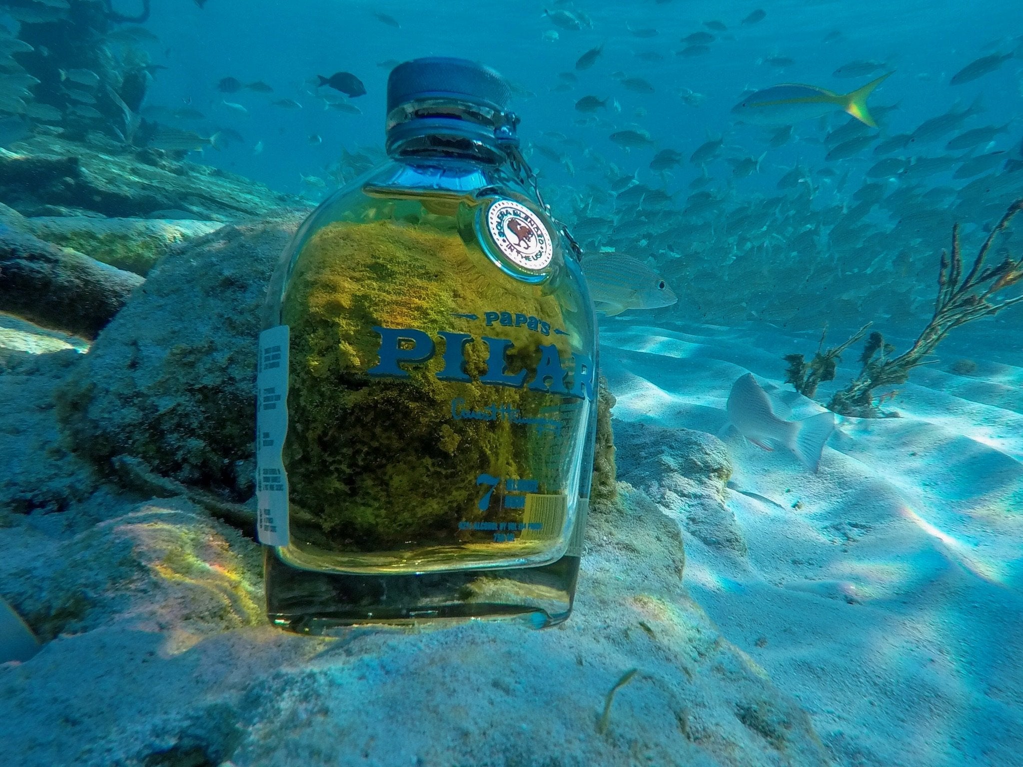 Papa’s Pilar Rum Experience in Key West